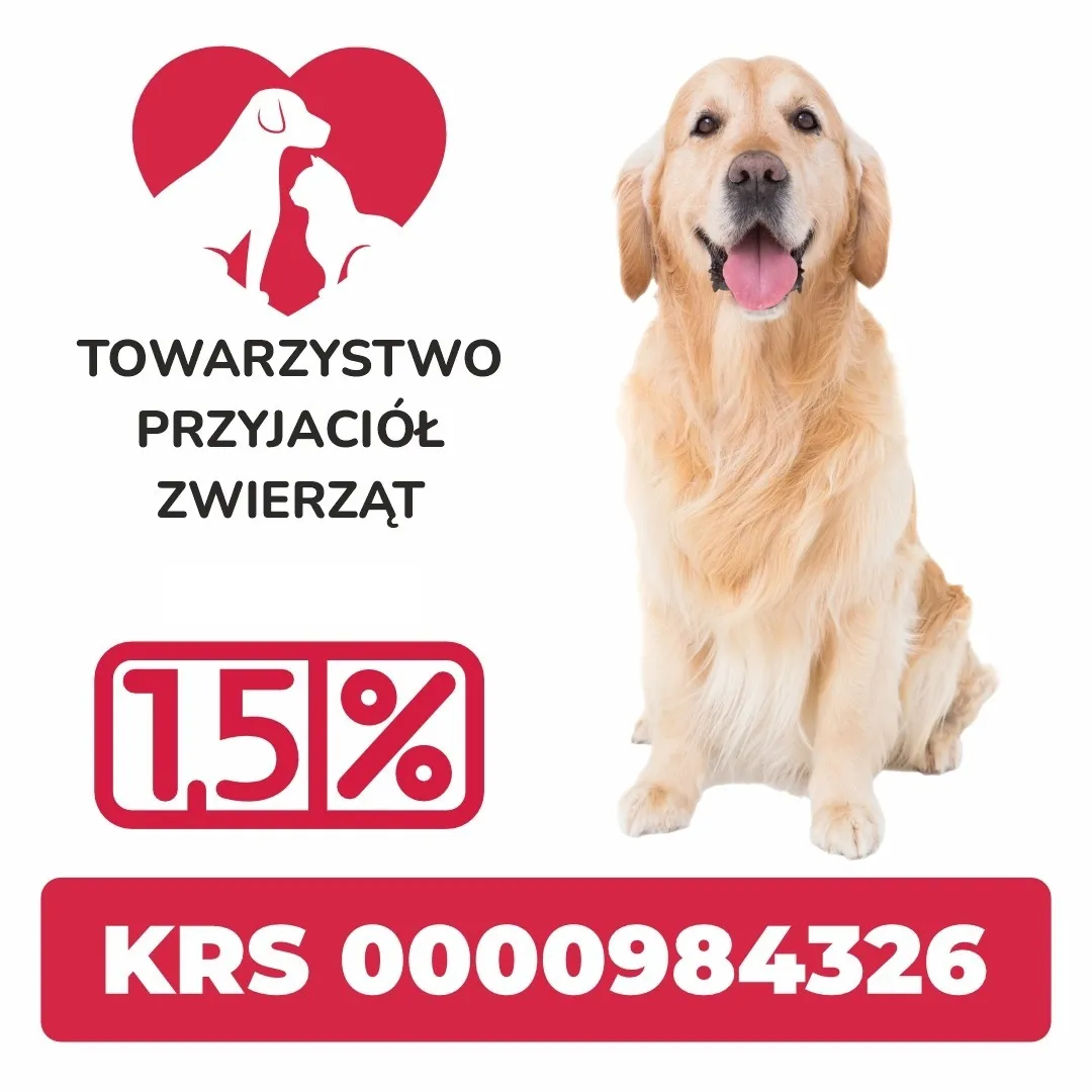 Rysunek psa i kota - Przekaż 1,5%