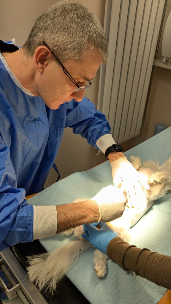 Operacja maltańczyka